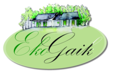 Eko Gaik Logo Eko Gaik Logo